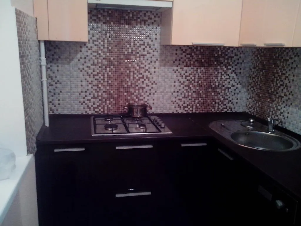 Apartment Syrec 키예프 우크라이나